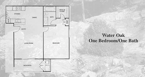 Floor plan 1 Bedroom