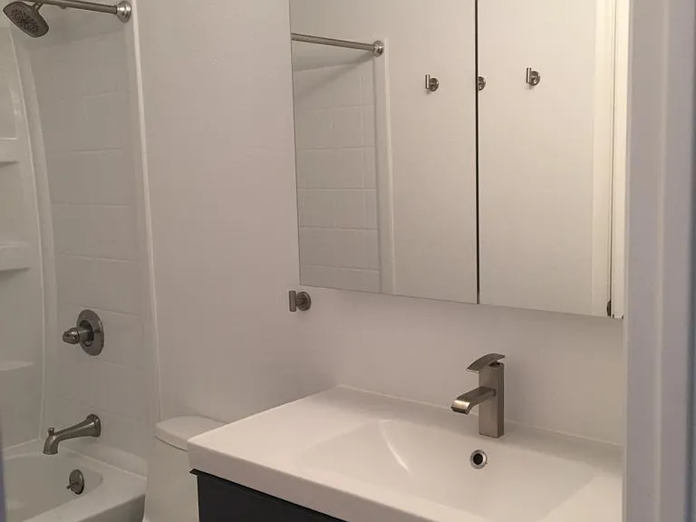 Master Bedroom Mirror/Medicine Cabinet