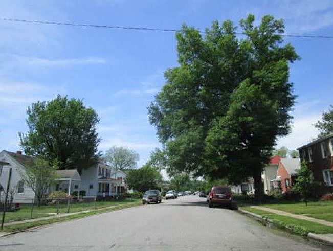 2nd image of 217 Suffolk Ave