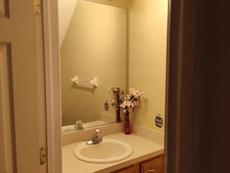 1658 W Spring Meadow Loop — Photo 22