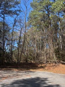 LOT 62 Spoonbill Ln, Machipongo, VA, 23405
