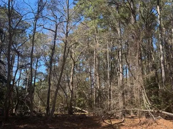 LOT 62 Spoonbill Ln, Machipongo, VA 23405