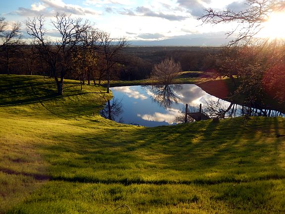 Back porch view of pond