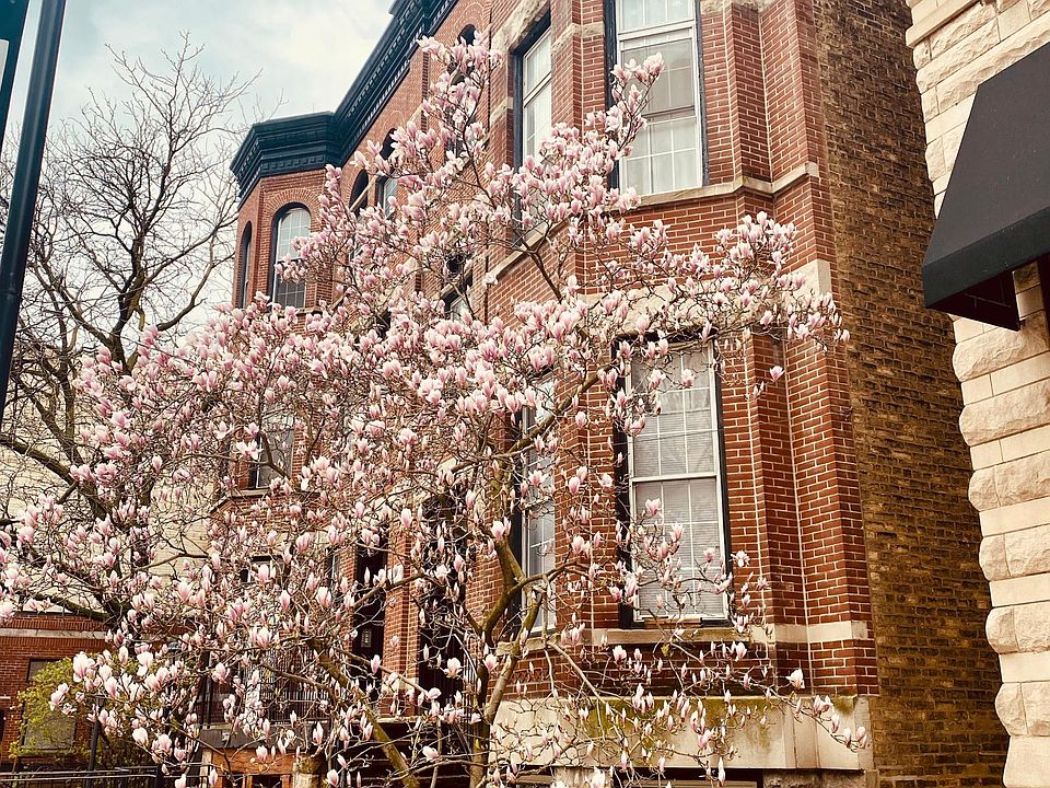 1st image of 2332 N Clark St #103N