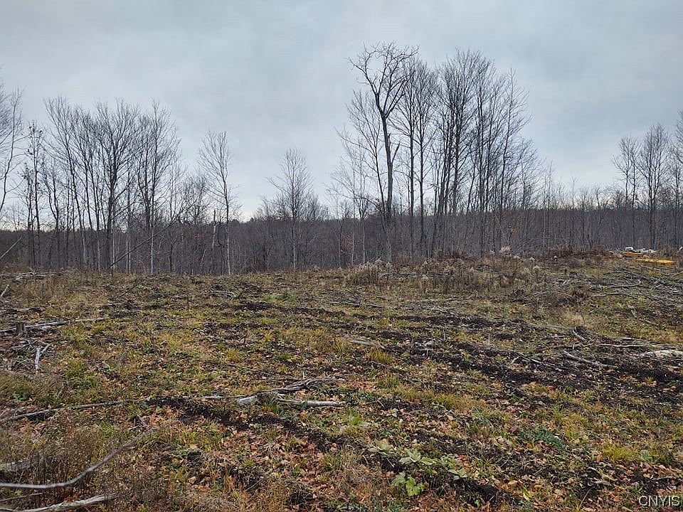 0 Us Highway 11, De Kalb Junction, NY 13630 Zillow