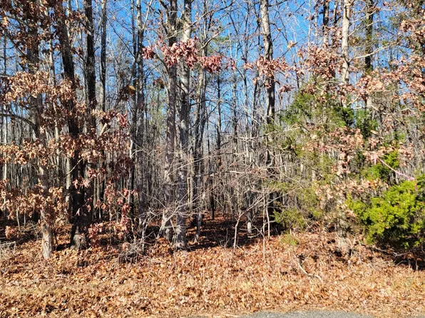 29 Down Creek Rd, Brookneal, VA 24528