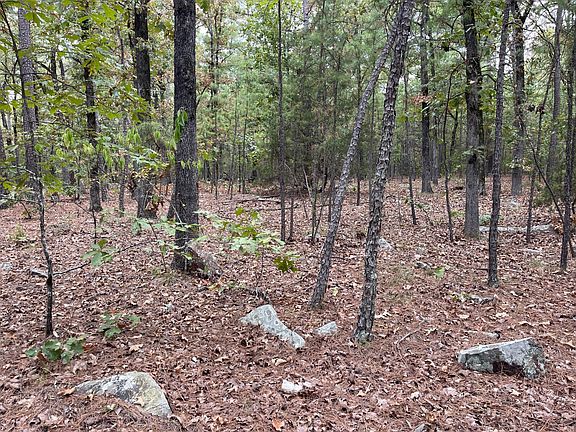 4th image of 61 Whispering Pines Loop