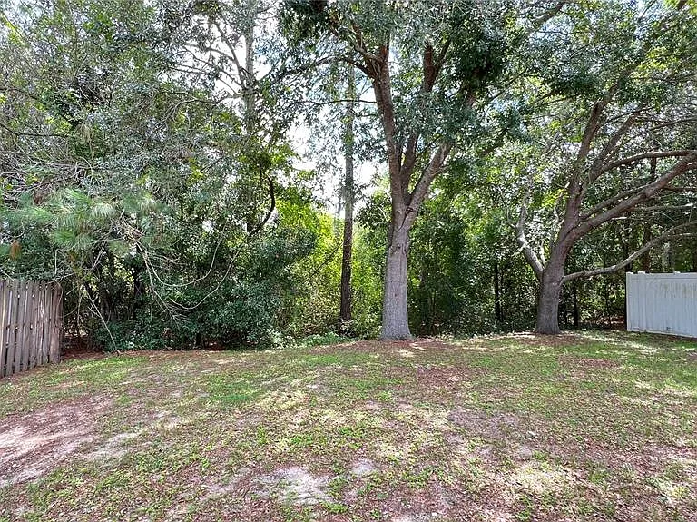 3831 Cinnamon Fern Loop — Photo 26