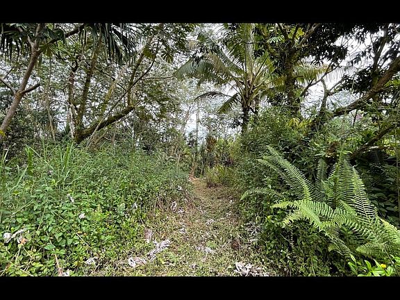 2nd image of Pahoa Cir Lot 13