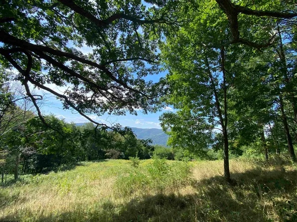 38 Meadows Rd W, Harman, WV 26270