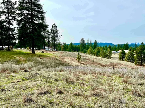 Xx W Webb Ave, Springdale, WA 99173