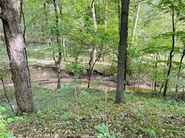 Section 6 Rd, Oconee, IL 62553