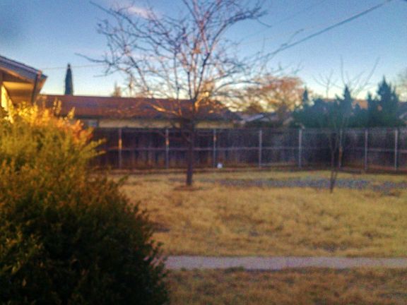 Large yard