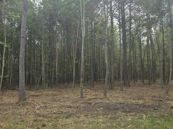 0 Whitestone Dr, Reevesville, SC 29471