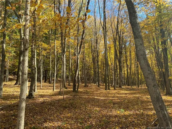 Lot 3 Hurd Park Road, East Hampton, CT 06424