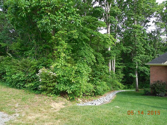 4th image of 139 Kenosha Lane Tanasi Greens