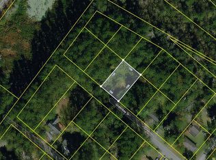 308 Greenbay St, Walterboro, SC 29488