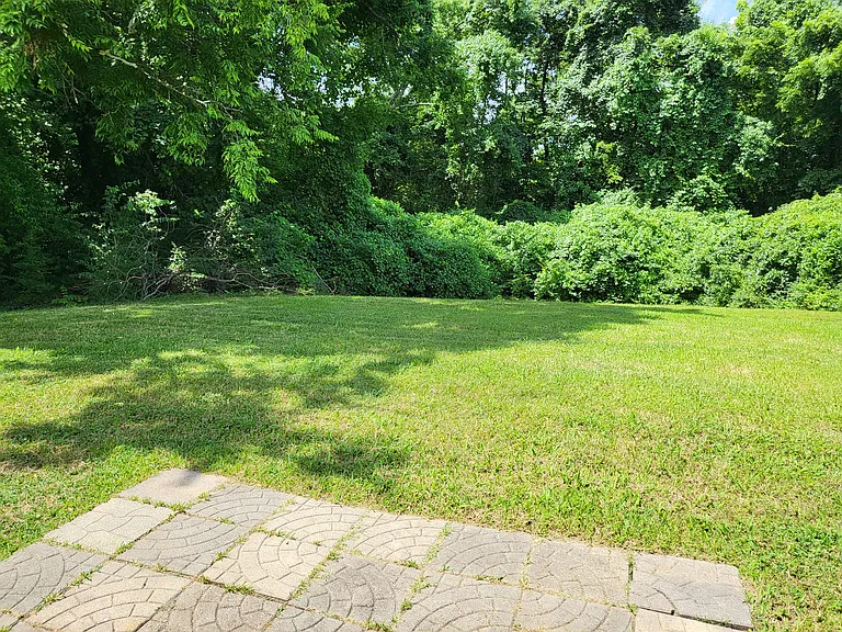 Back yard off patio