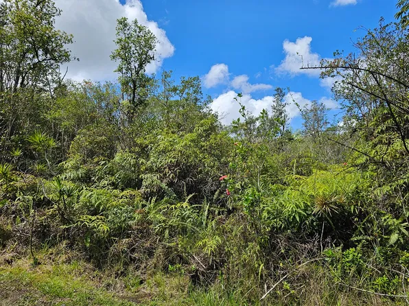Road 10 Poouli Lot 5725, Kurtistown, HI 96760