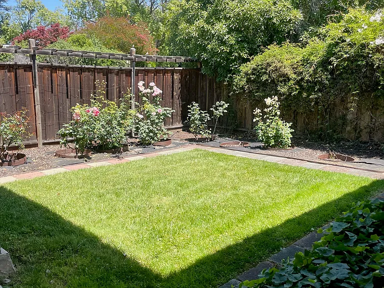 Front garden, enclosed