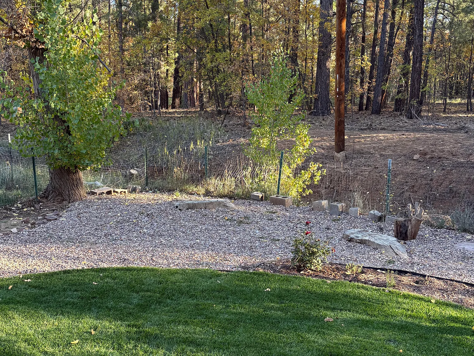 2 bed, 970 sqft, $2,500 — Photo 2