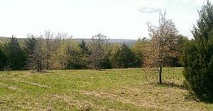 2nd image of S 972nd Rd