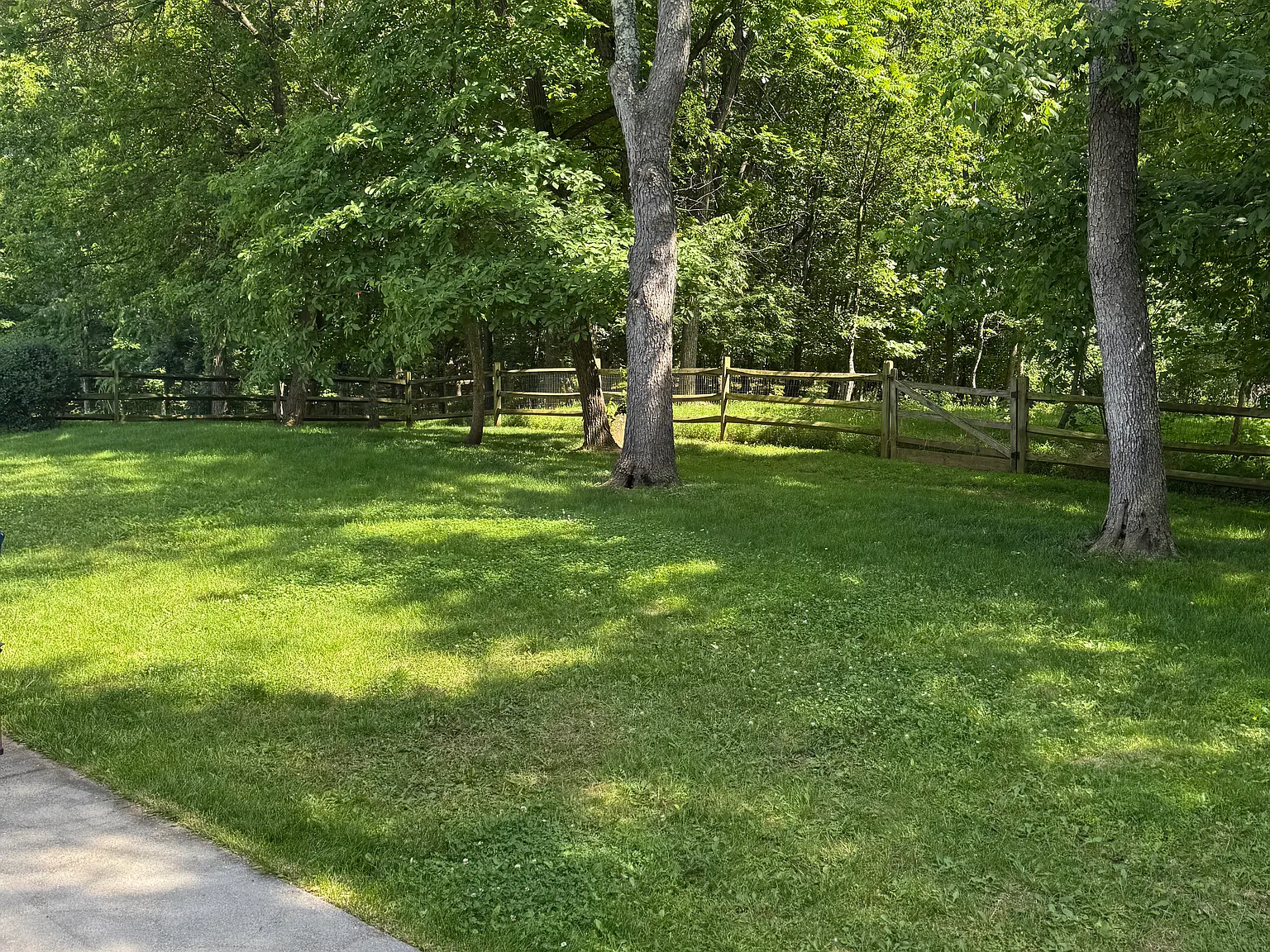 3 bed, 2.5 bath, 2690 sqft, $3,000 — Photo 4