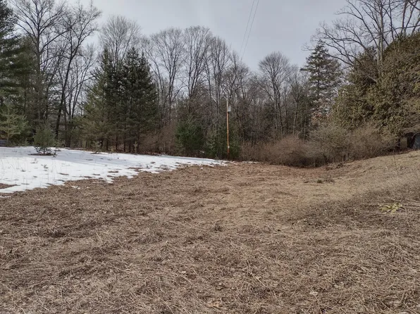 S Landon Rd, Branch, MI 49402