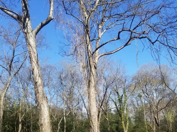 810 W 15th Ave, Phenix City, AL 36867