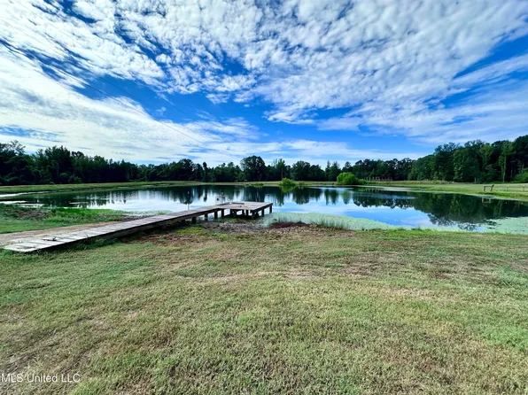 609 County Road 333, Mc Carley, MS 38943
