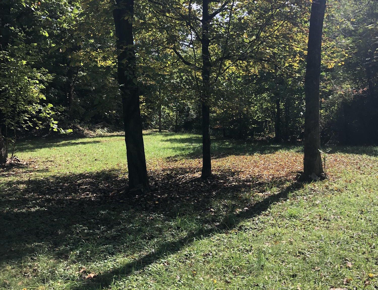 104 Tamassee Dr, Johnson City, TN 37601 Zillow