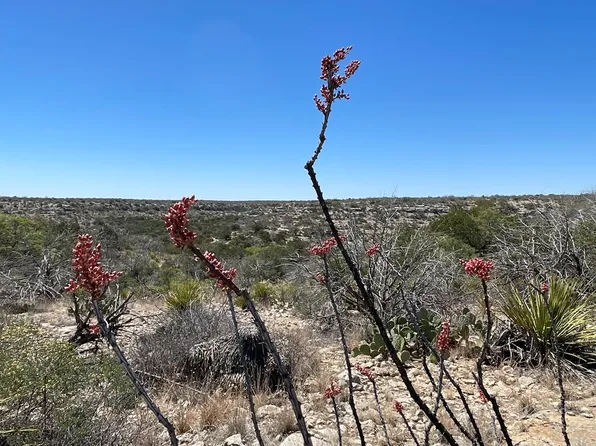 Highway 349, Sheffield, TX 79781