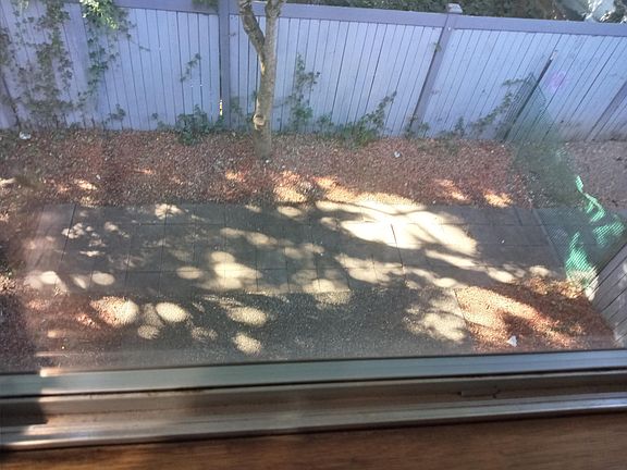 View from bedroom of yard