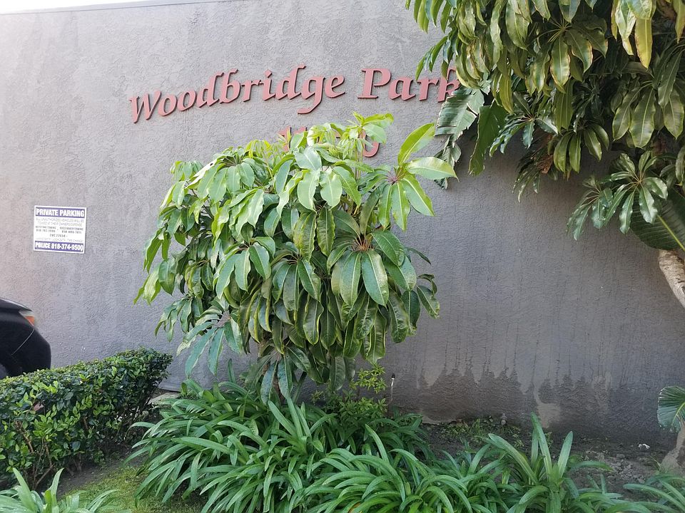 1st image of 11222 Moorpark St #117