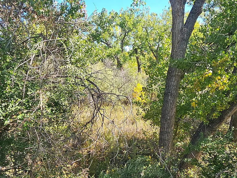 16885 Old Pueblo Rd — Photo 19