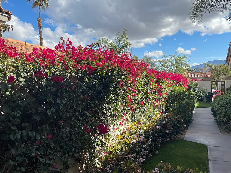 392 Desert Holly Dr — Photo 6