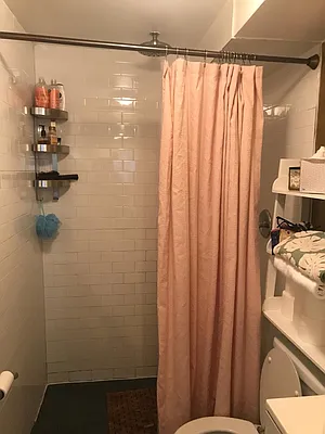 Rented by Borough Properties LLC | media 6