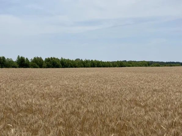 Grassy Lake Rd, Charleston, MS 38921