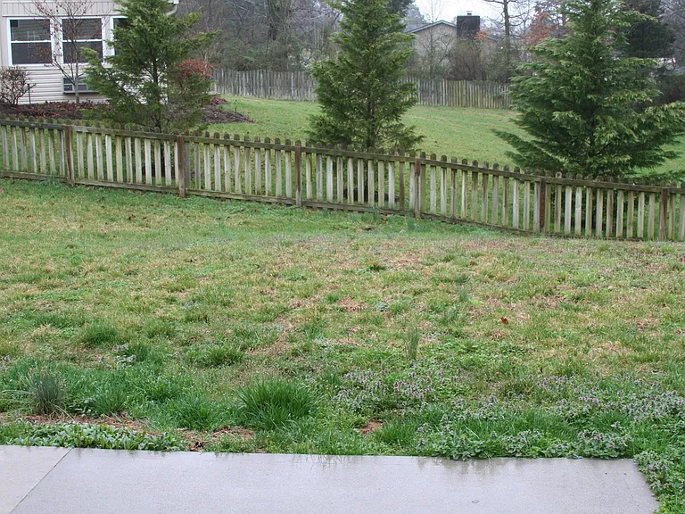 541 Mountain Pass Ln — Photo 25