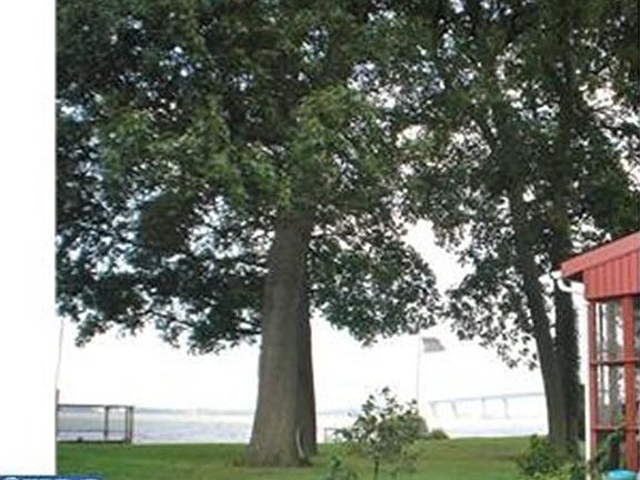 4th image of 273 N River Dr