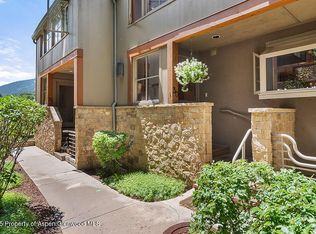100 N 8th St UNIT 30, Aspen, CO 81611