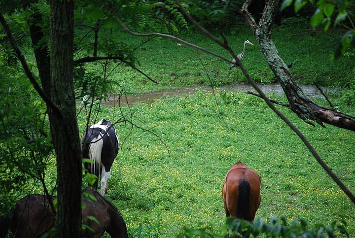 2nd image of 16383 Purcellville Rd