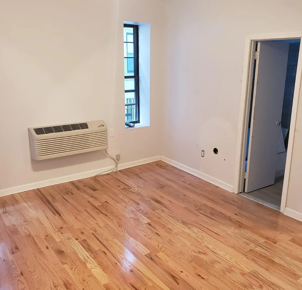 Studio, $850 — Photo 4