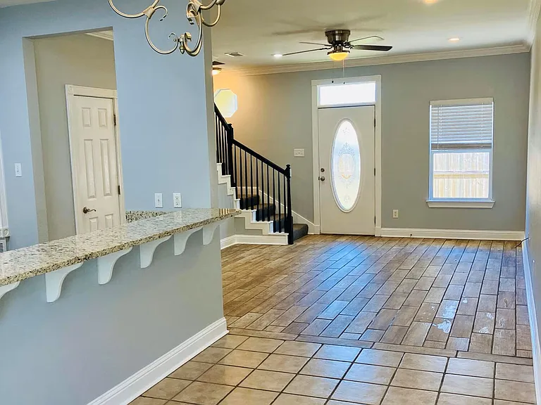 1338 Tropical Cv — Photo 2