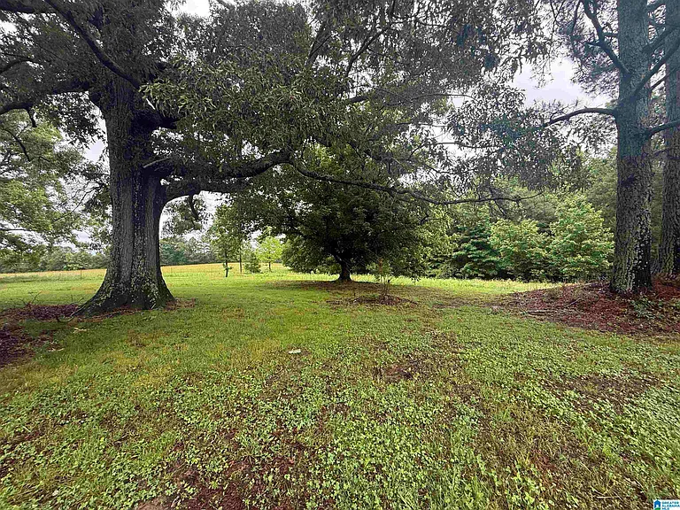 337 County Road 555 — Photo 16