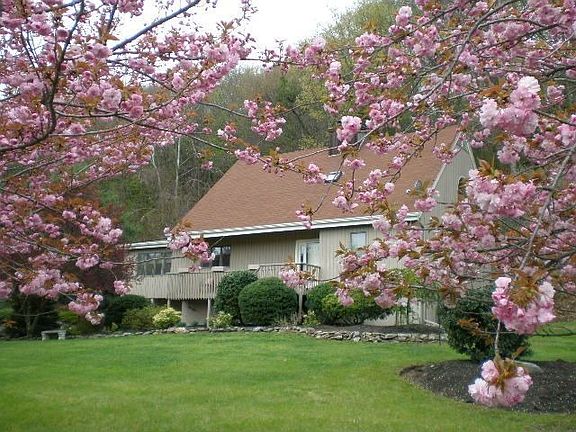 Front Of The House With Beautiful Trees