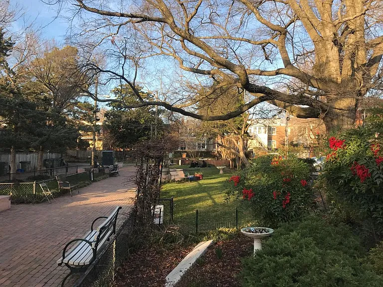 Scuffletown Park - Directly Behind House
