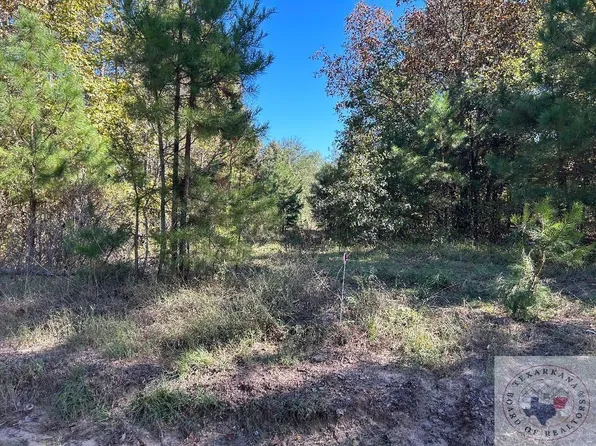 County Road 1111, Atlanta, TX 75551