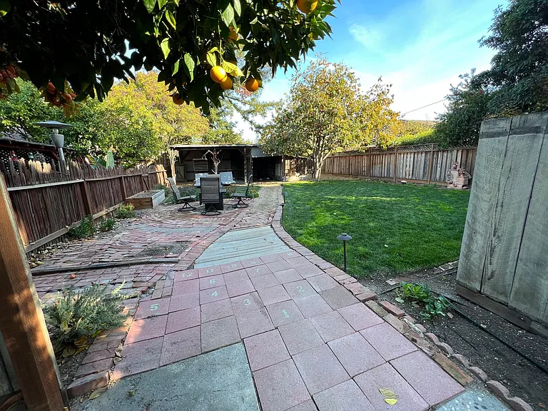 3,000 squre foot back yard with old orchard shed and big lawn