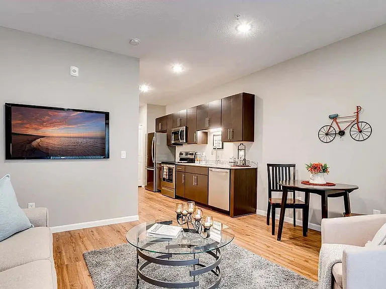 Circle Pines, MN Lexington Lofts | Ivy | Living